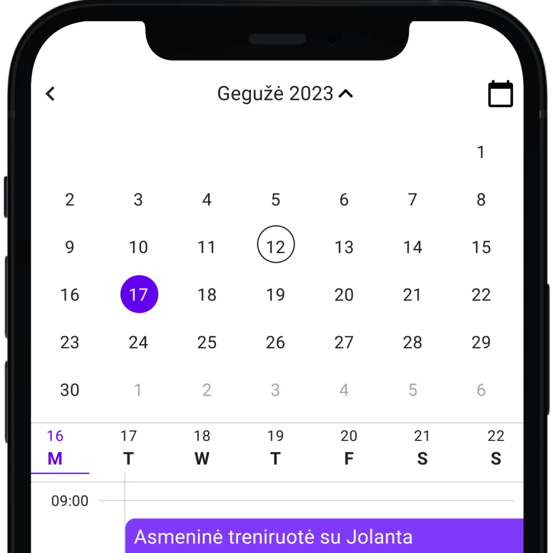 iphone calendar